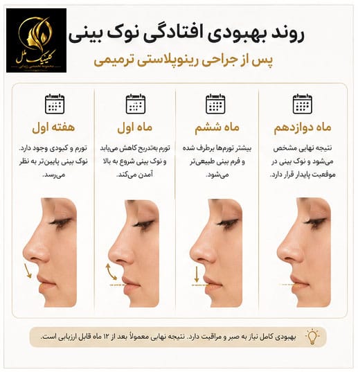 003 هفته اول، ماه اول، ماه ششم و ماه دوازدهم