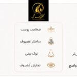 بینی گوشتی و استخوانی