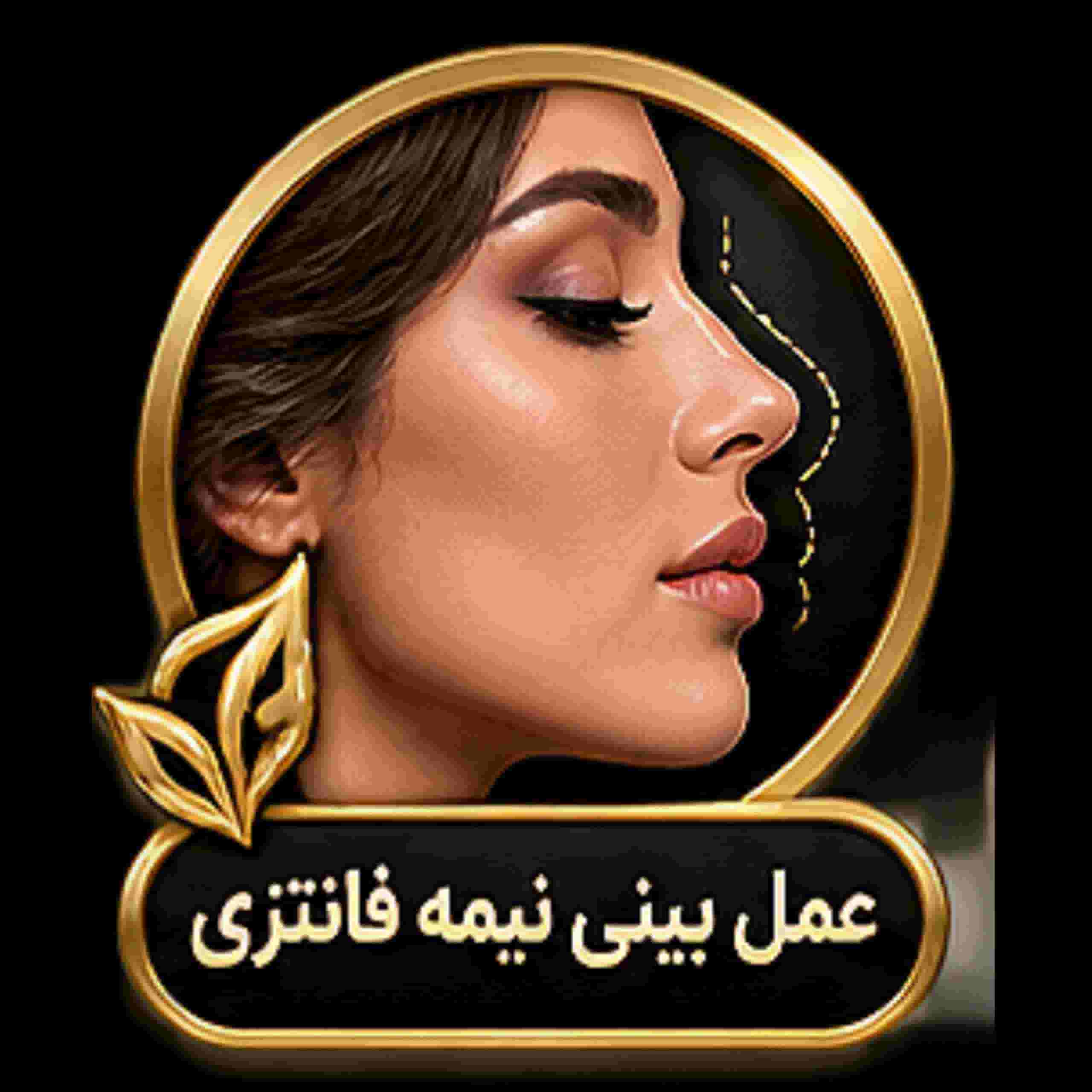 semi fantasy rhinoplasty