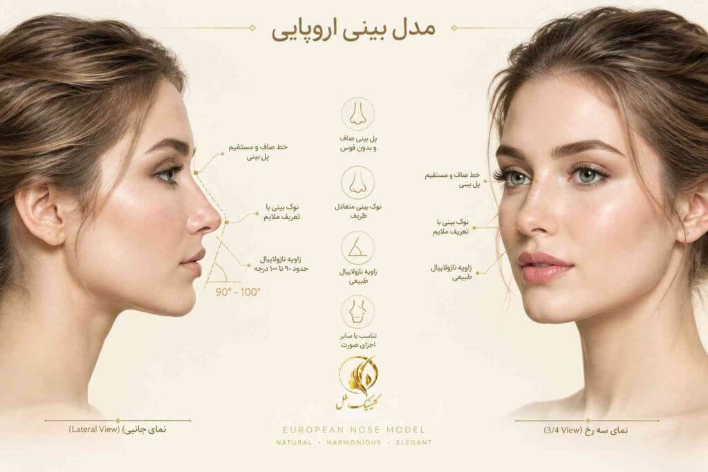 european-nose-type1 مدل بینی اروپایی و ویژگیهای ظاهری آن