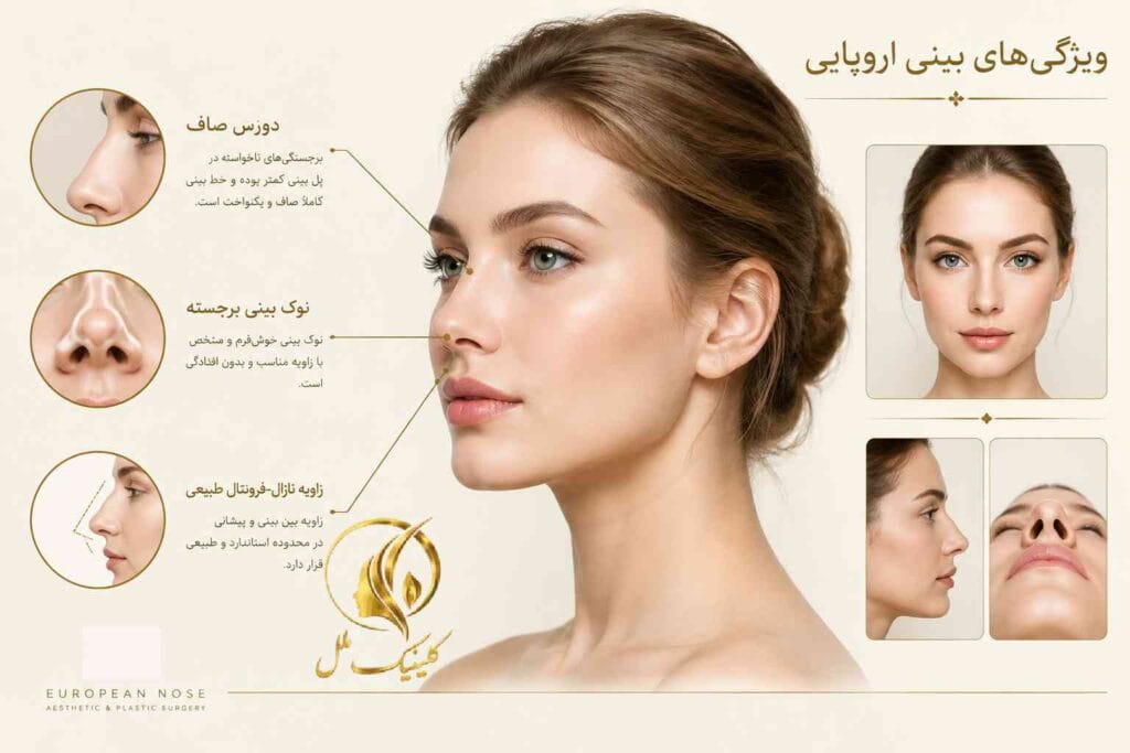 european-nose-type2 ویژگیهای ظاهری بینی مدل اروپایی