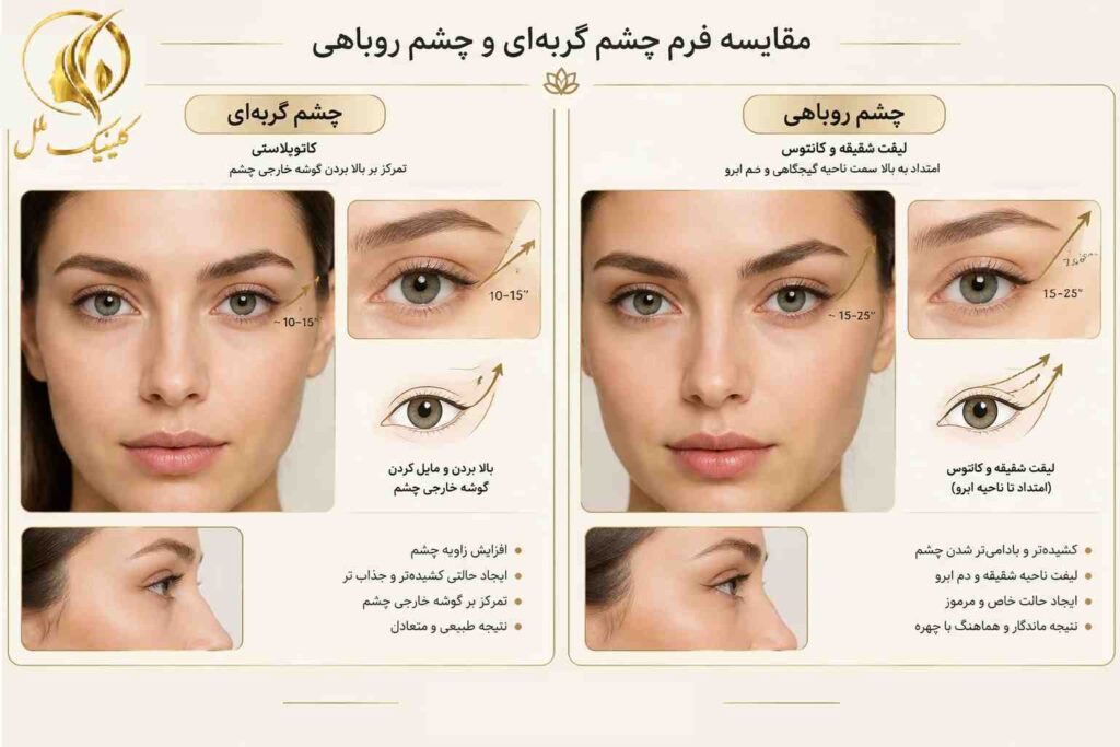 مقایسه مفهومی فرم چشم گربه&zwnj;ای و چشم روباهی در جراحی زیبایی