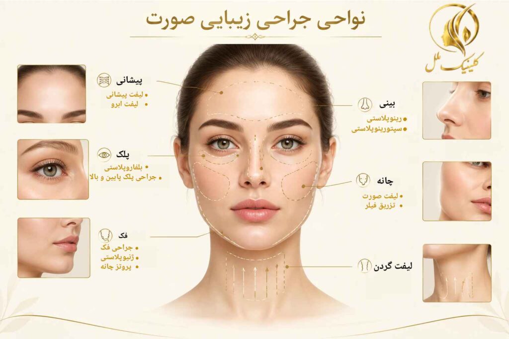 نمای آموزشی نواحی مختلف جراحی زیبایی صورت