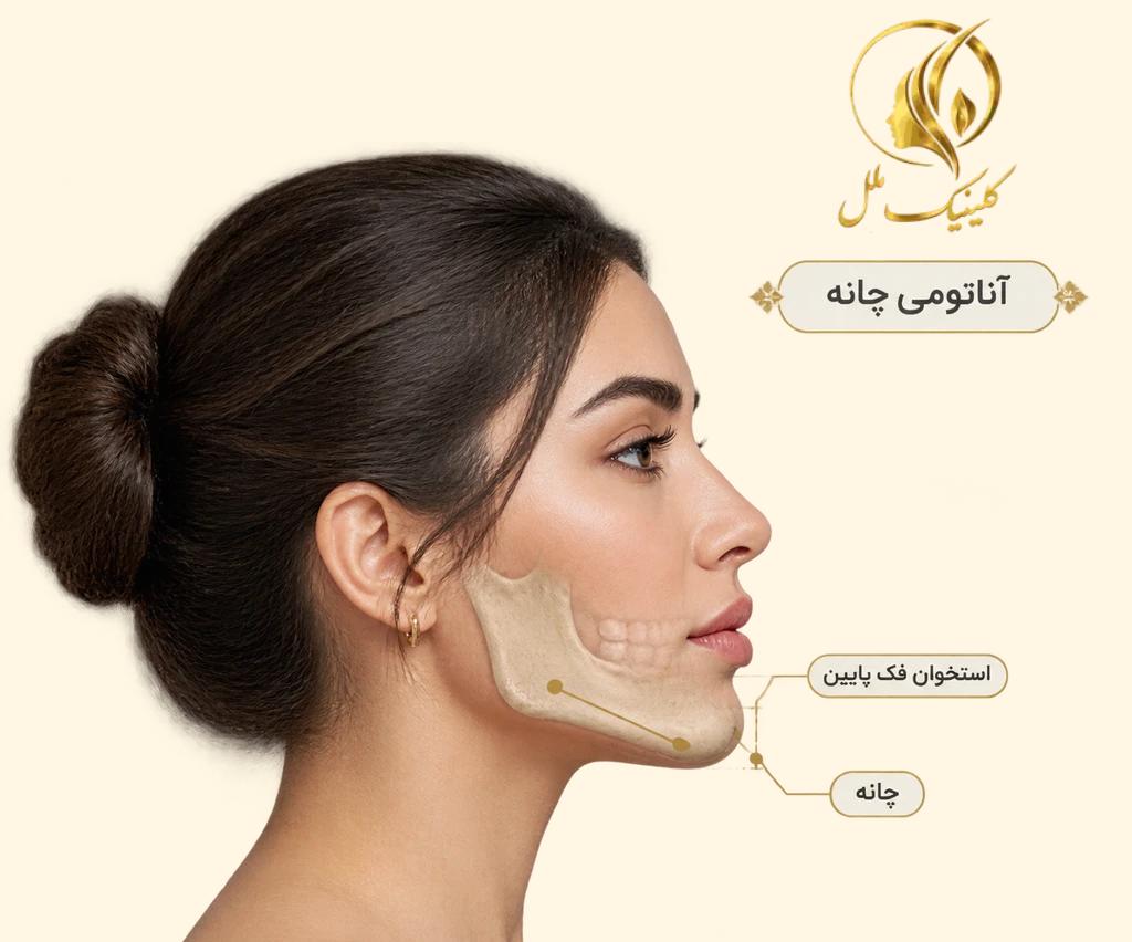 آناتومی چانه و موقعیت آن در نمای نیم&zwnj;رخ صورت